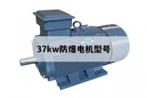 37kw防爆电机型号(37kw电机轴承型号是多少)