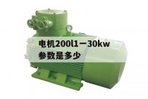 电机200l1一30kw参数是多少(电机型号及参数大全)