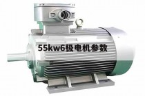 55kw6极电机参数(电机扭矩参数一览表)