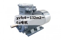 yvfe4一132m2一6a电机(y132m2一6电动机参数)