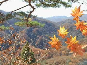 南阳防爆微特电机有限公司(南阳防爆电机厂官网)