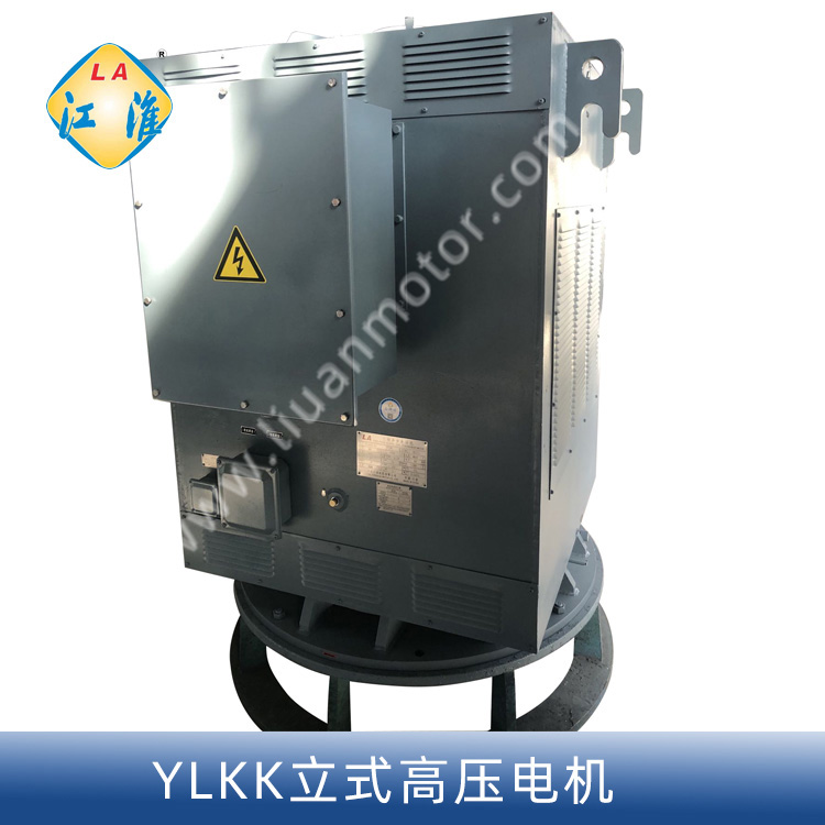 YLKK 10KV 6KV立式高压电机